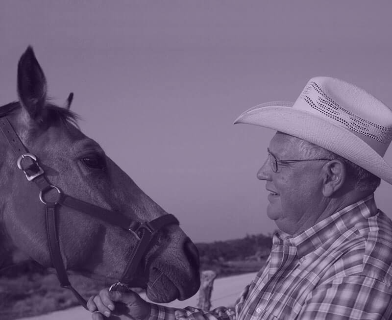 Attorney James Kneisler with his horse.
